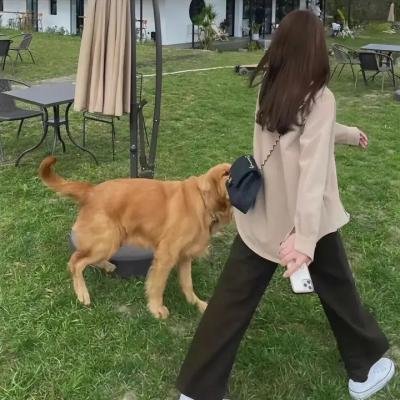 快速一闪